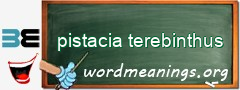 WordMeaning blackboard for pistacia terebinthus